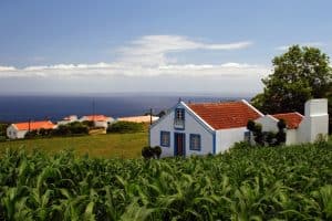 Es rentable invertir en fincas rústicas