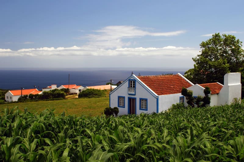Es rentable invertir en fincas rústicas